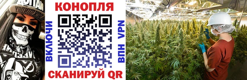 Купить наркоту Курчатов Кокаин  APVP  ГАШИШ  МАРИХУАНА  Мефедрон 
