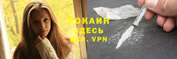 шишки Абинск