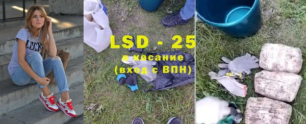 шишки Абинск