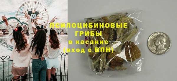 хмурый Алексин