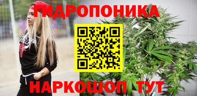 ГАЛЛЮЦИНОГЕННЫЕ ГРИБЫ Камышлов