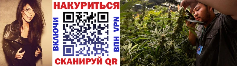 Конопля марихуана  купить наркотик  Курчатов 