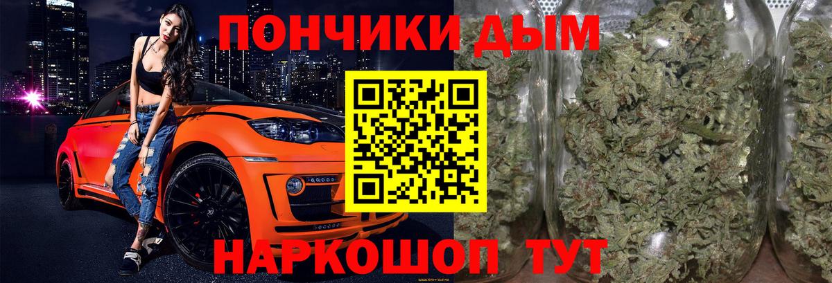 Конопля гибрид Курчатов